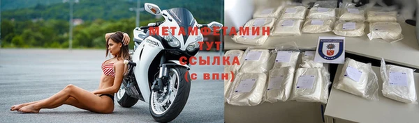 ПСИЛОЦИБИНОВЫЕ ГРИБЫ Горняк