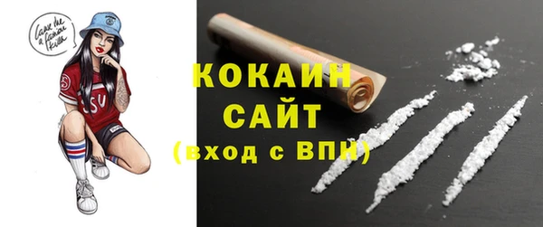 ПСИЛОЦИБИНОВЫЕ ГРИБЫ Горняк