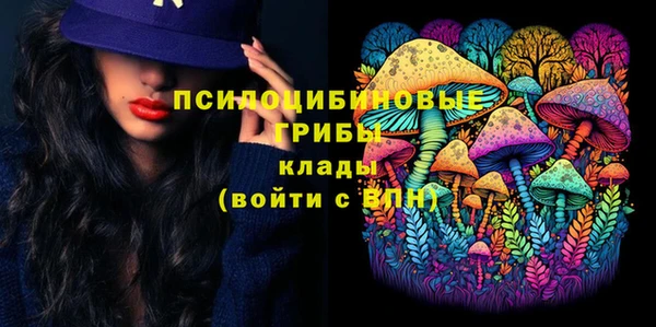 хмурый Горнозаводск
