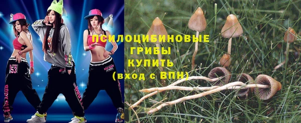 ПСИЛОЦИБИНОВЫЕ ГРИБЫ Горняк
