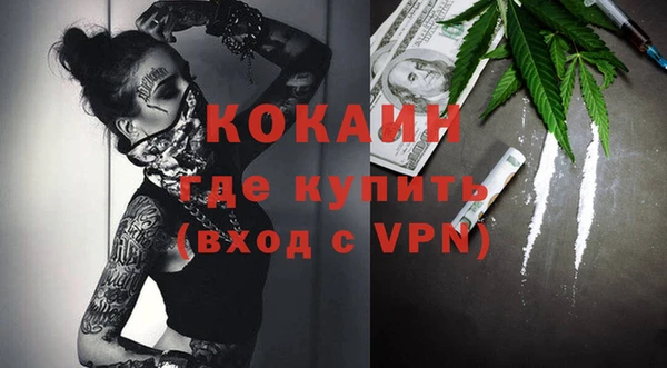 ПСИЛОЦИБИНОВЫЕ ГРИБЫ Горняк