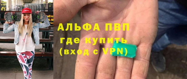 ПСИЛОЦИБИНОВЫЕ ГРИБЫ Горняк